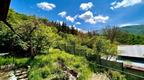 Mountain top get away in breathtaking Dilijan!